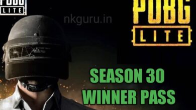 Photo of PUBG Mobile Lite Season 30 Winner Pass: how to get free winner pass 30